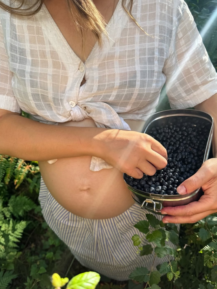 Taming The Nervous System Through Food